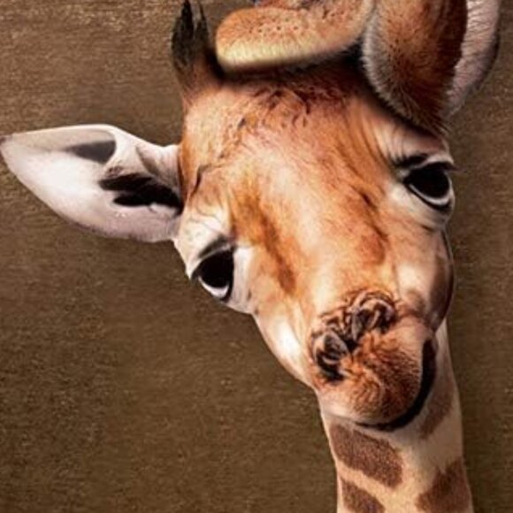 New sealed Eurographics 1000pcs Adult Puzzle -Giraffe Mother's Kiss - Picture 4 of 12